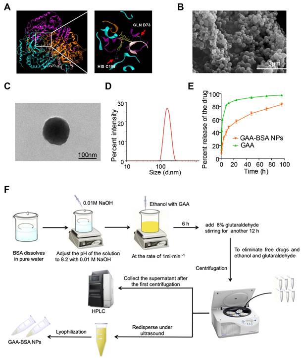 J Cancer Image