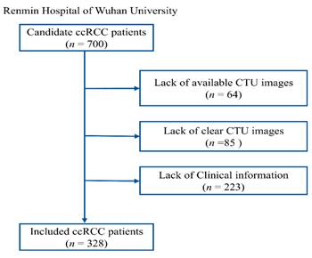 J Cancer Image