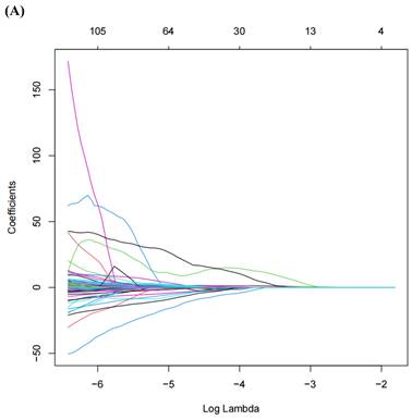 J Cancer Image