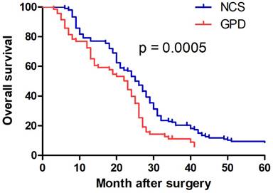 J Cancer Image