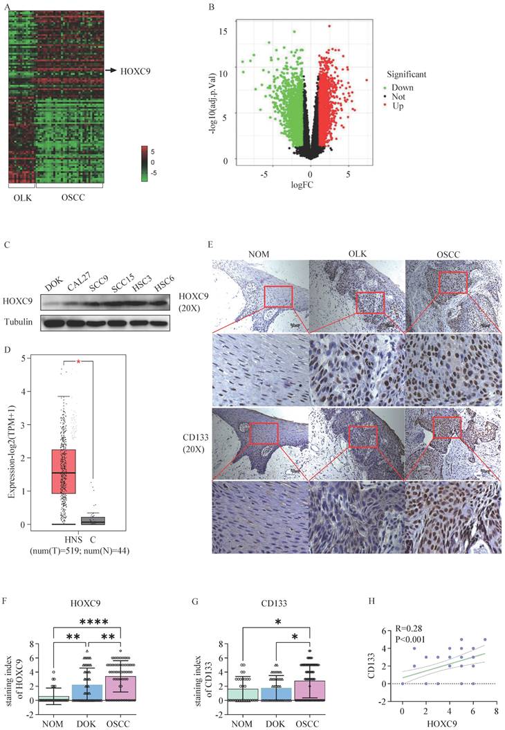 J Cancer Image