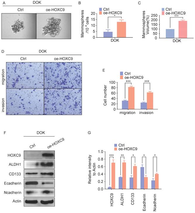 J Cancer Image