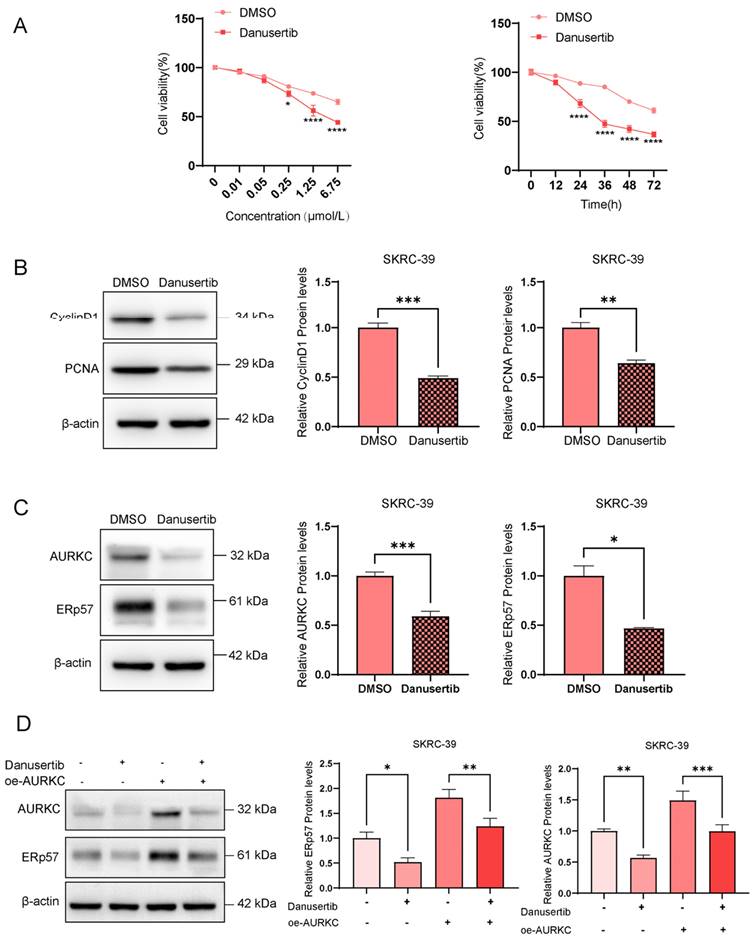 J Cancer Image