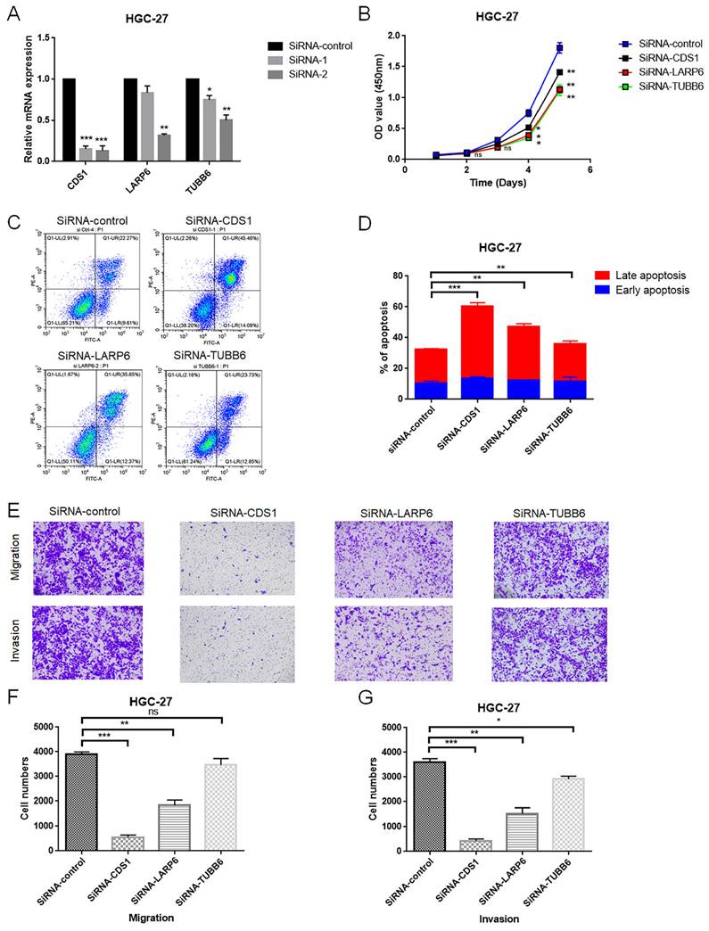 J Cancer Image