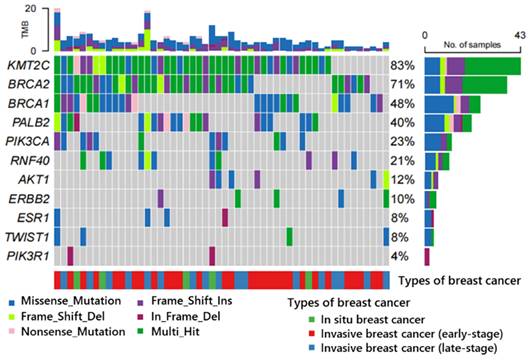 J Cancer Image