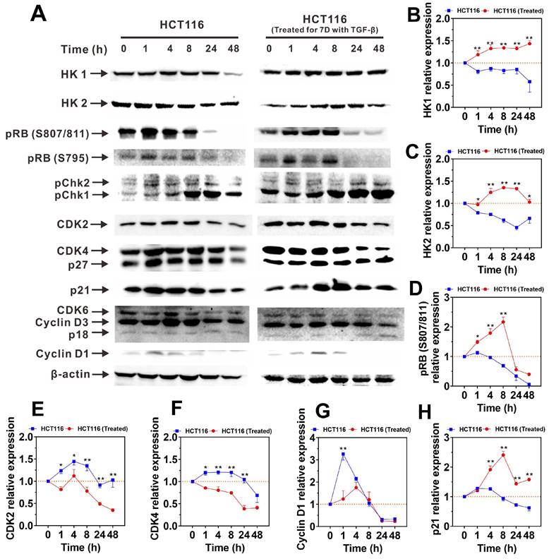 J Cancer Image