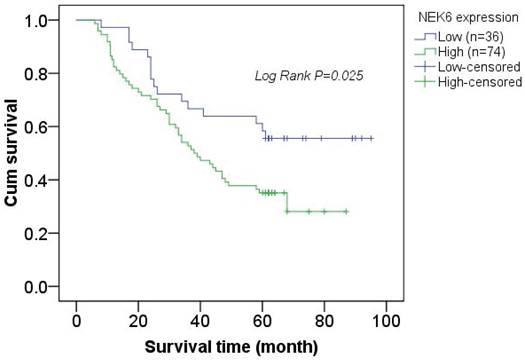 J Cancer Image