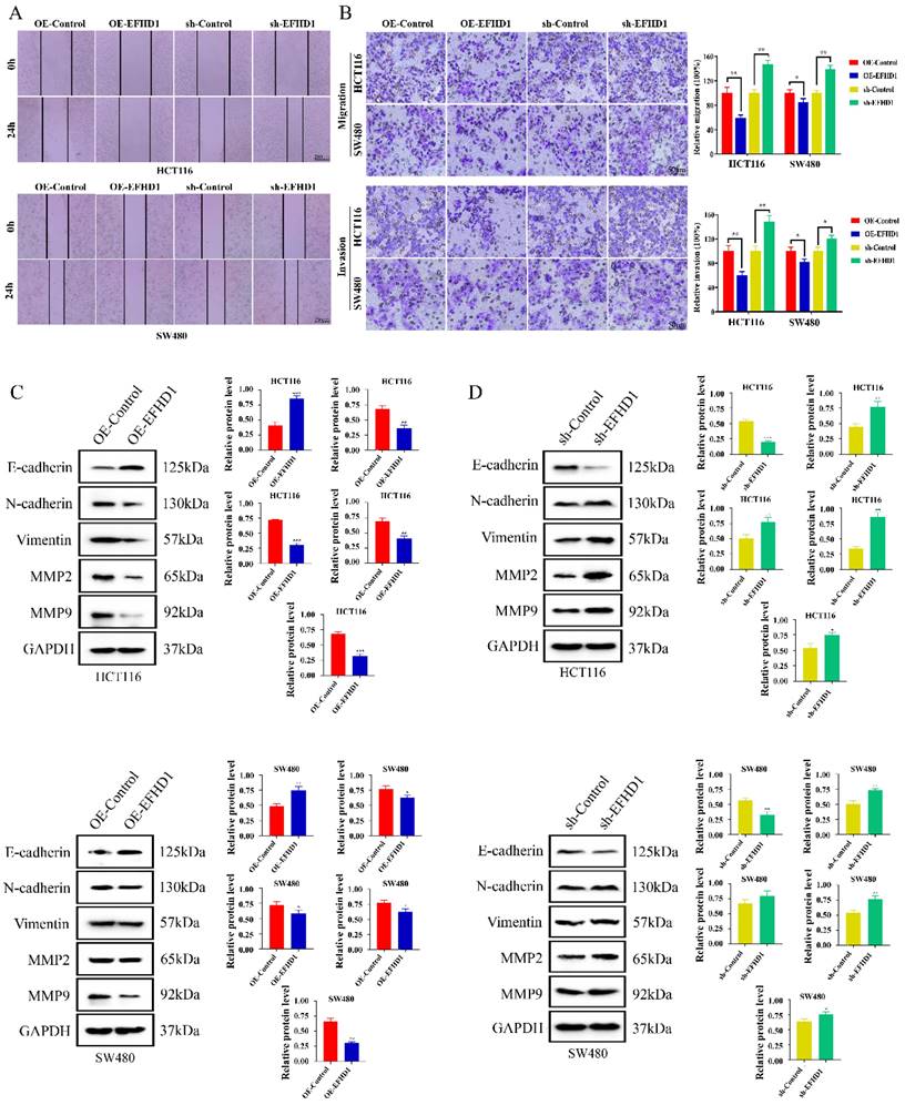 J Cancer Image