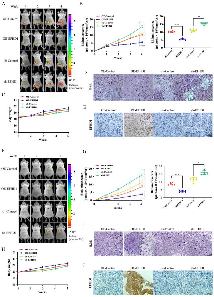 J Cancer Image