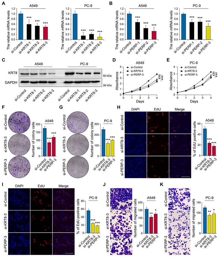 J Cancer Image