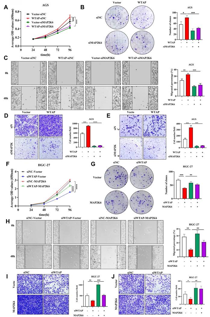 J Cancer Image