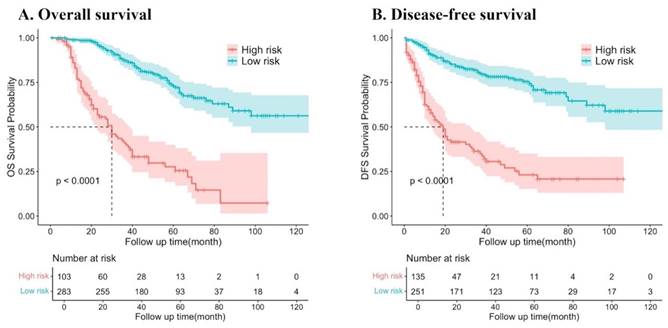 J Cancer Image