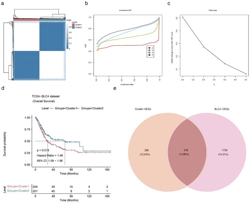 J Cancer Image