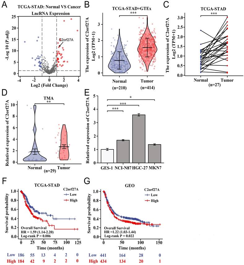 J Cancer Image