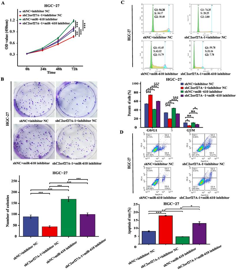 J Cancer Image