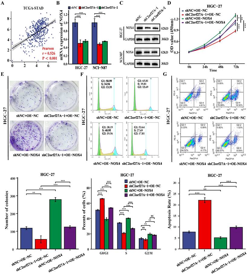 J Cancer Image