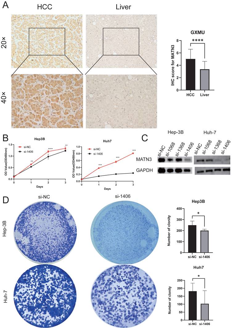 J Cancer Image