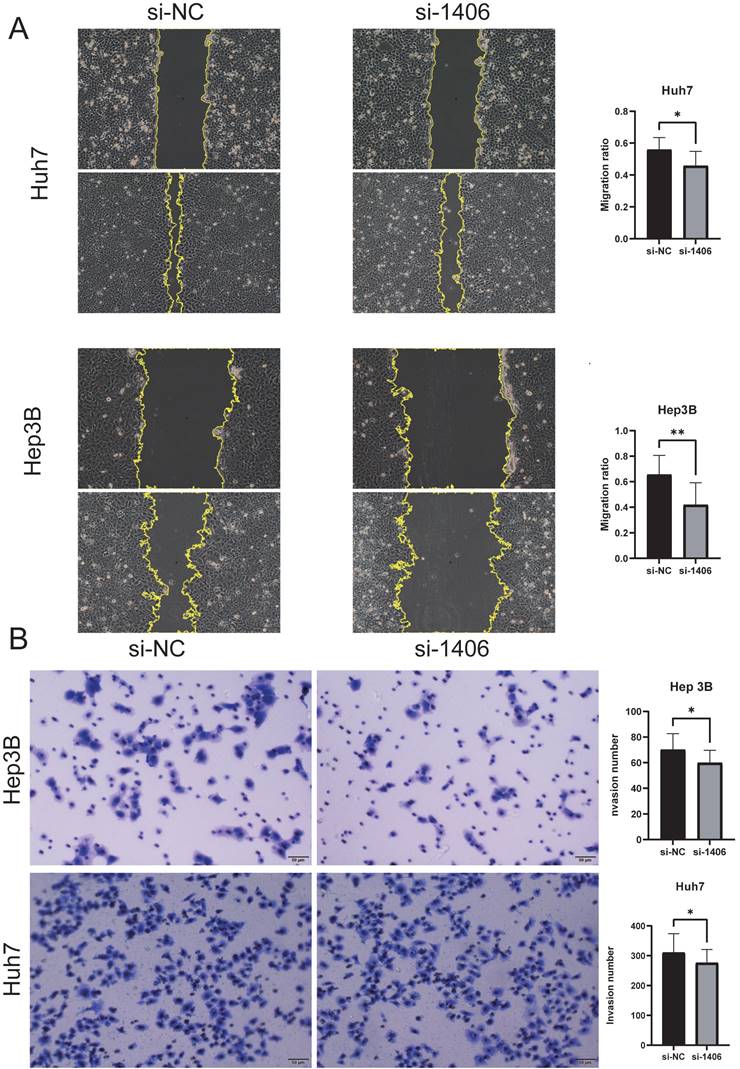 J Cancer Image