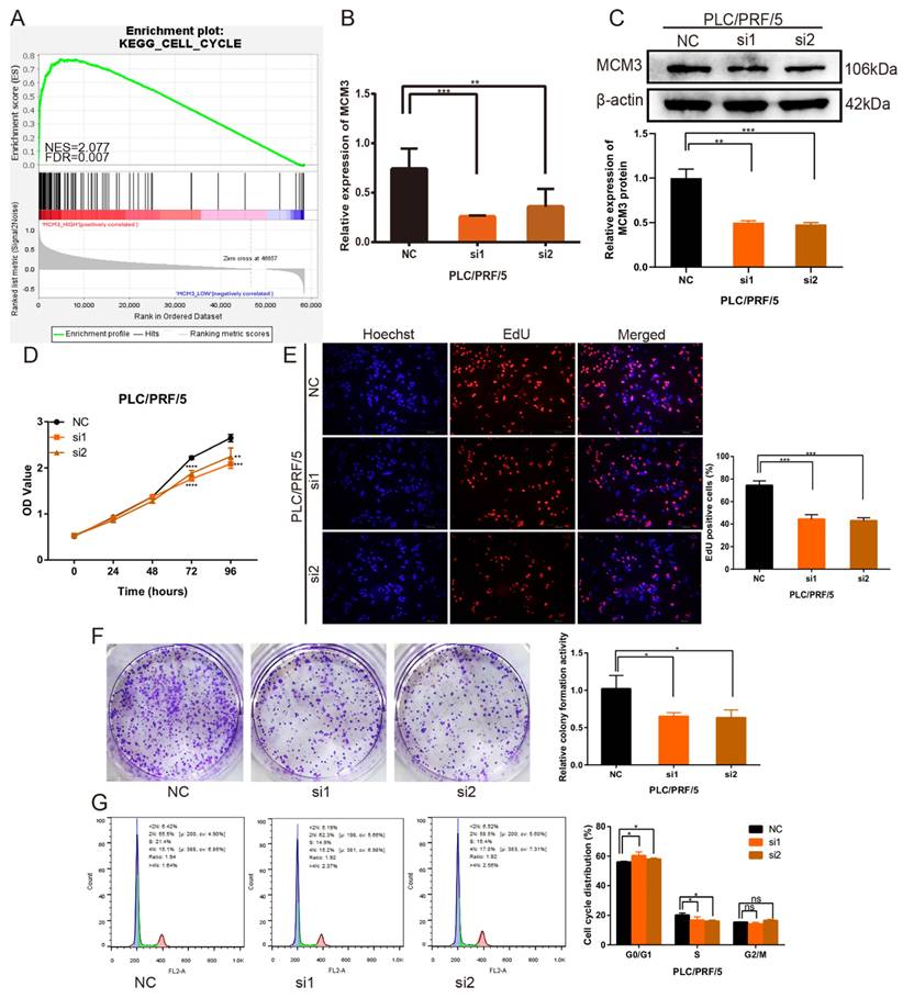 J Cancer Image