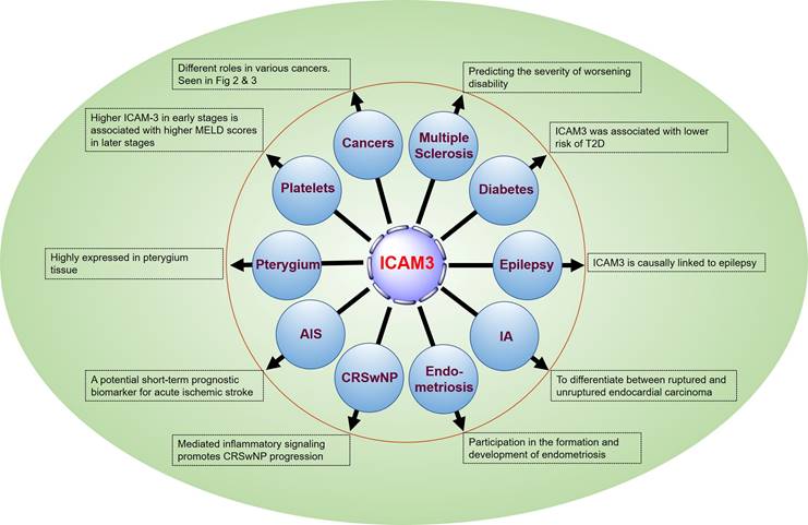 J Cancer Image