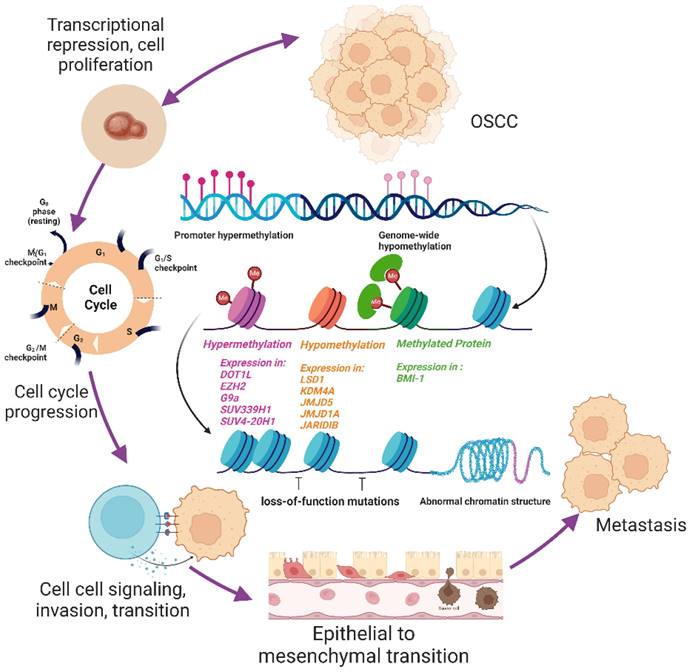 J Cancer Image