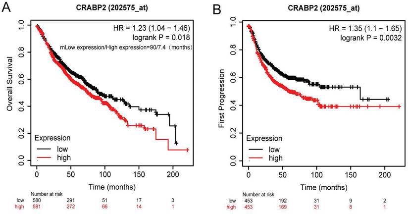 J Cancer Image