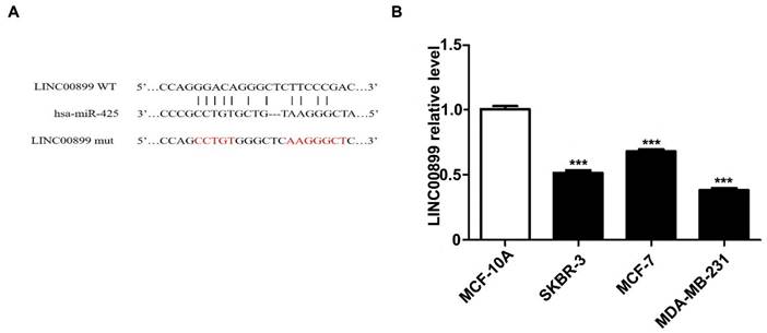 J Cancer Image