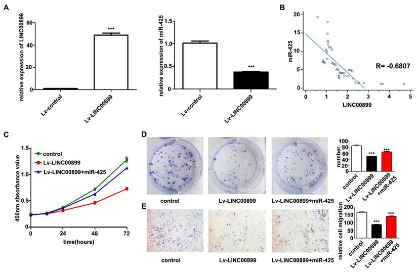 J Cancer Image