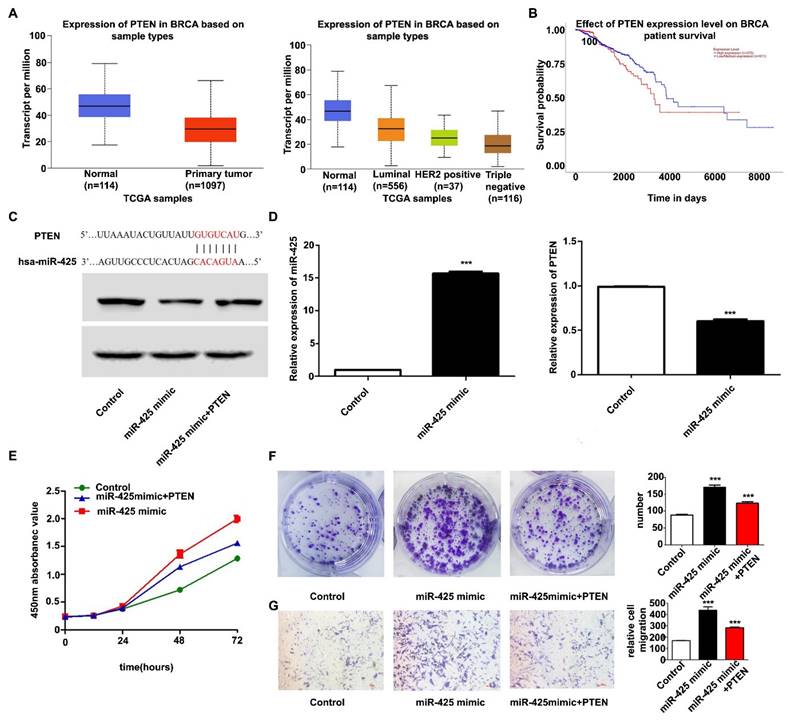 J Cancer Image