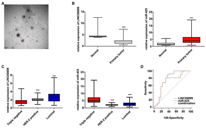 J Cancer Image