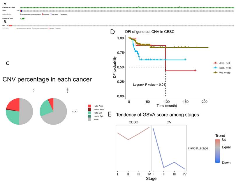 J Cancer Image