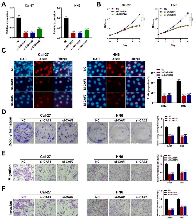 J Cancer Image