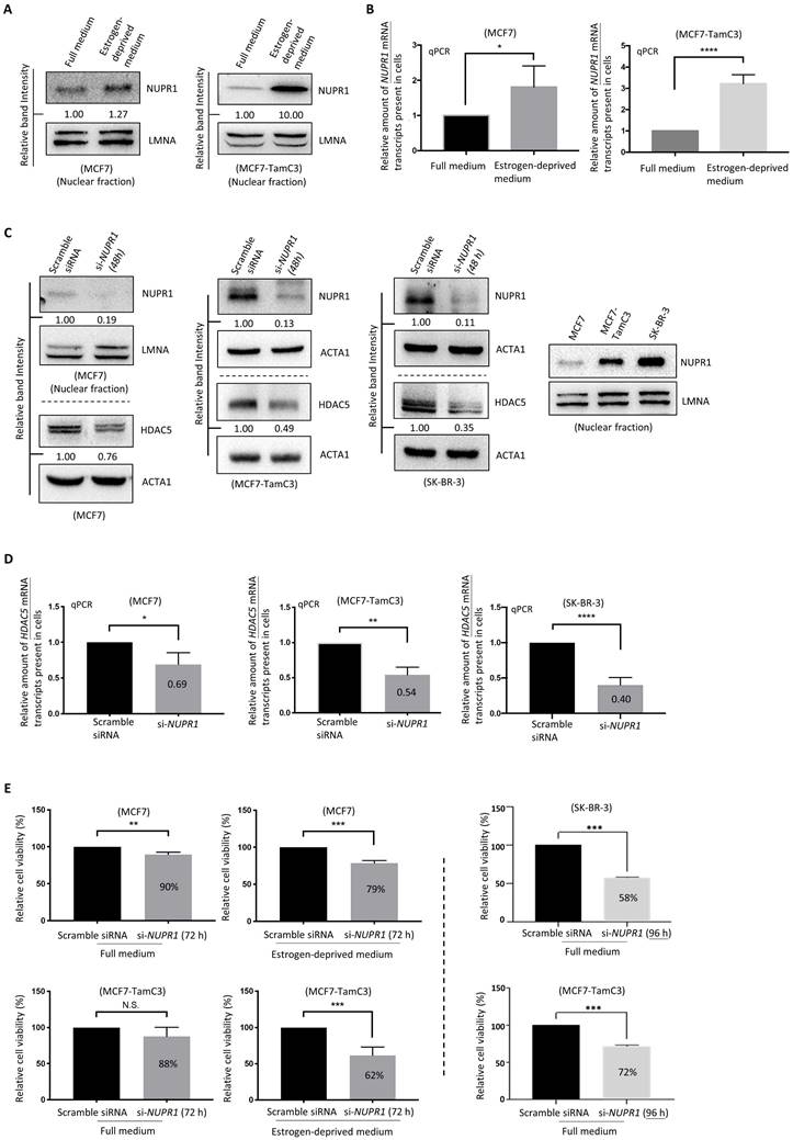 J Cancer Image