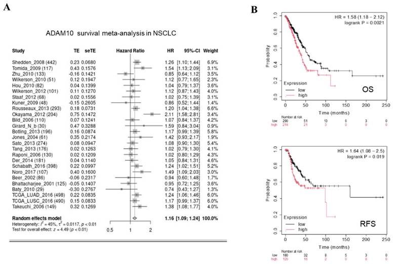 J Cancer Image