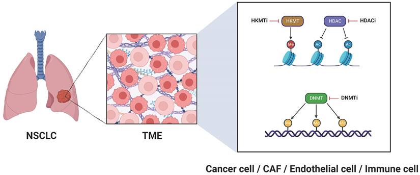 J Cancer Image