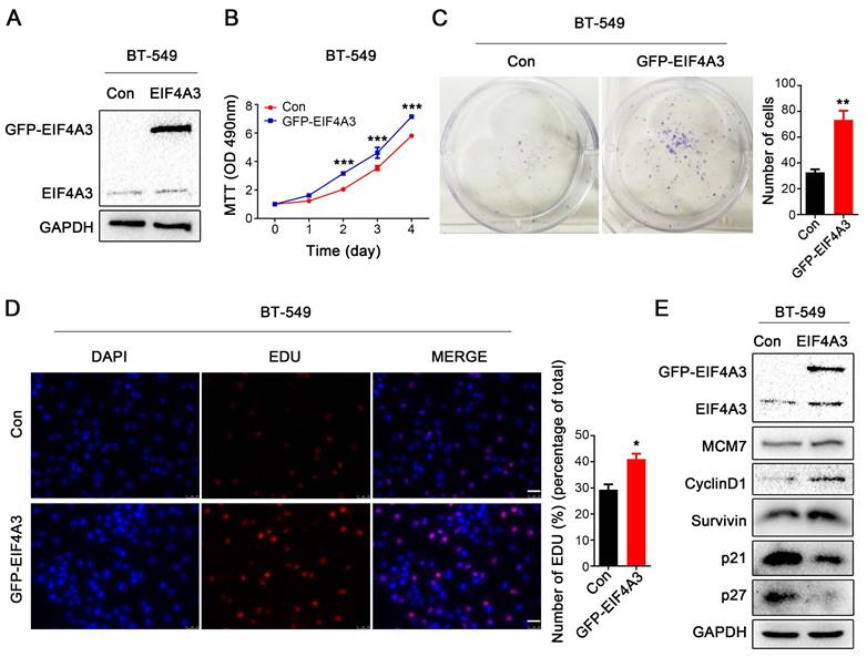 J Cancer Image