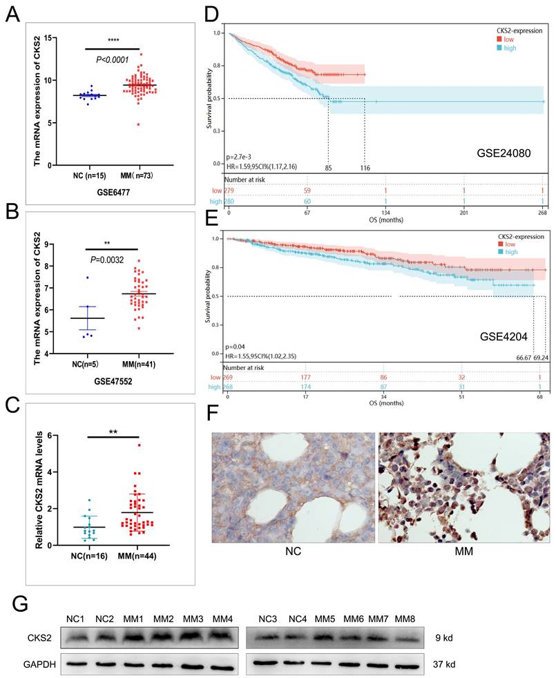 J Cancer Image