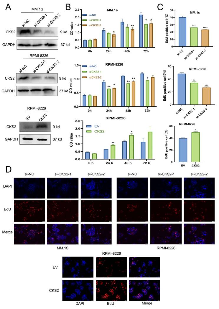 J Cancer Image