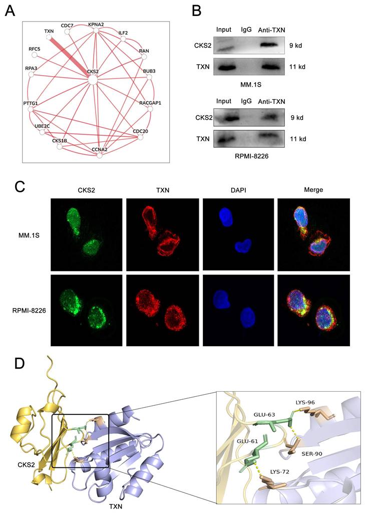 J Cancer Image