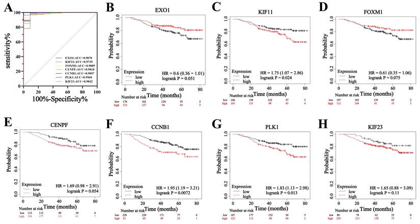 J Cancer Image