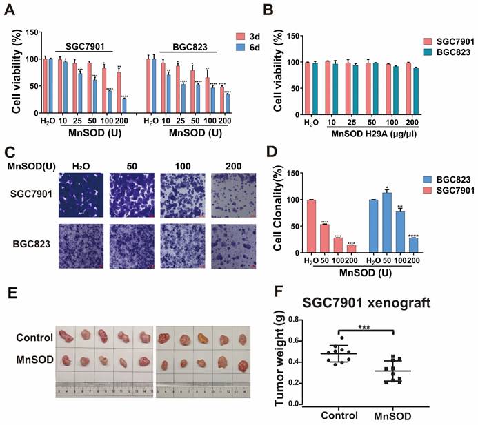 Anti-proliferative and anti-invasive effects of exogenous thermostable ...