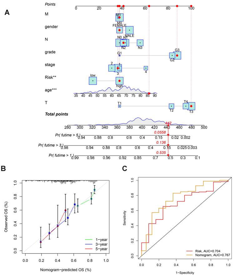 J Cancer Image