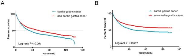 J Cancer Image