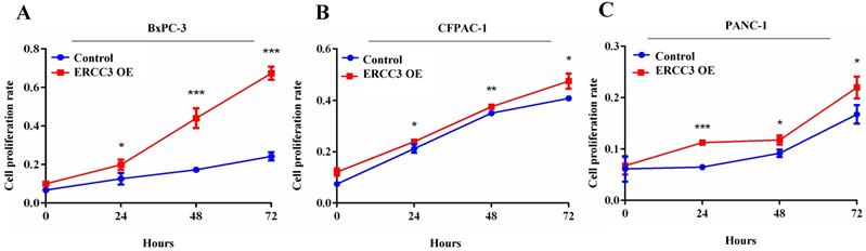 J Cancer Image