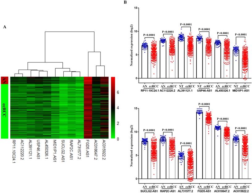 Identification And Validation Of The Clinical Roles Of The Vhl Related Lncrnas In Clear Cell Renal Cell Carcinoma