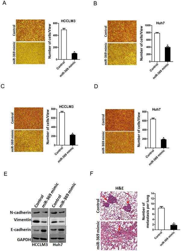 J Cancer Image