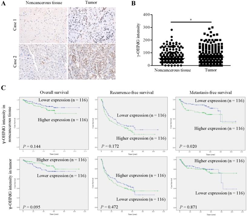 J Cancer Image