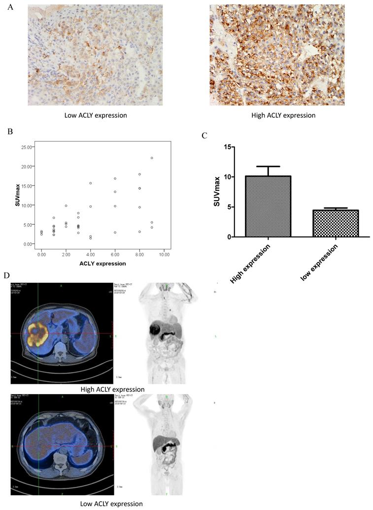 J Cancer Image