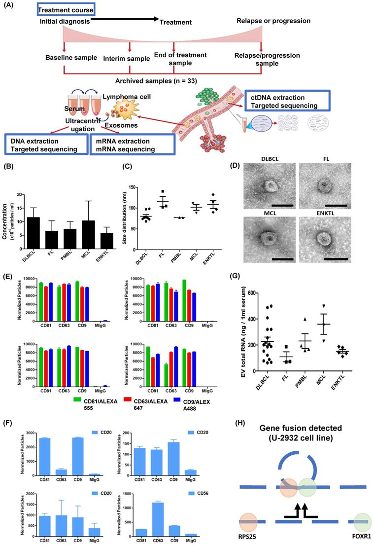 Clinical Relevance Of Serum Derived Exosomal Messenger Rna Sequencing In Patients With Non 3786