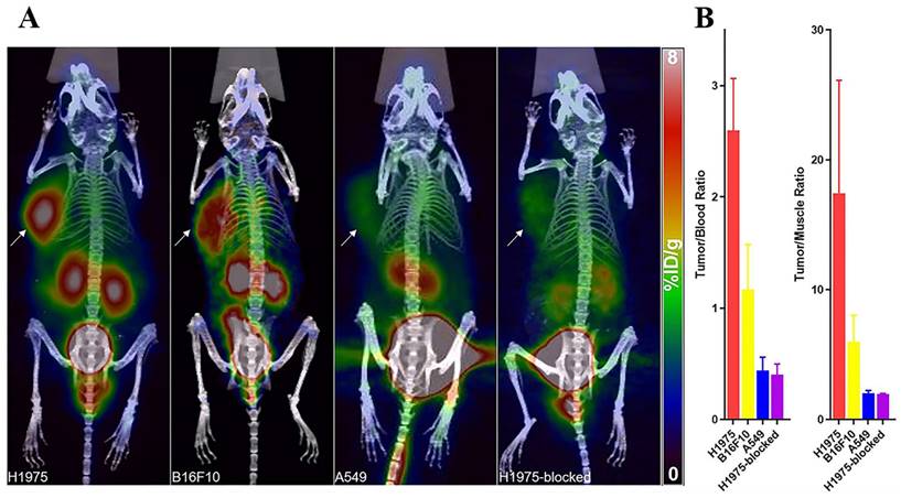 J Cancer Image